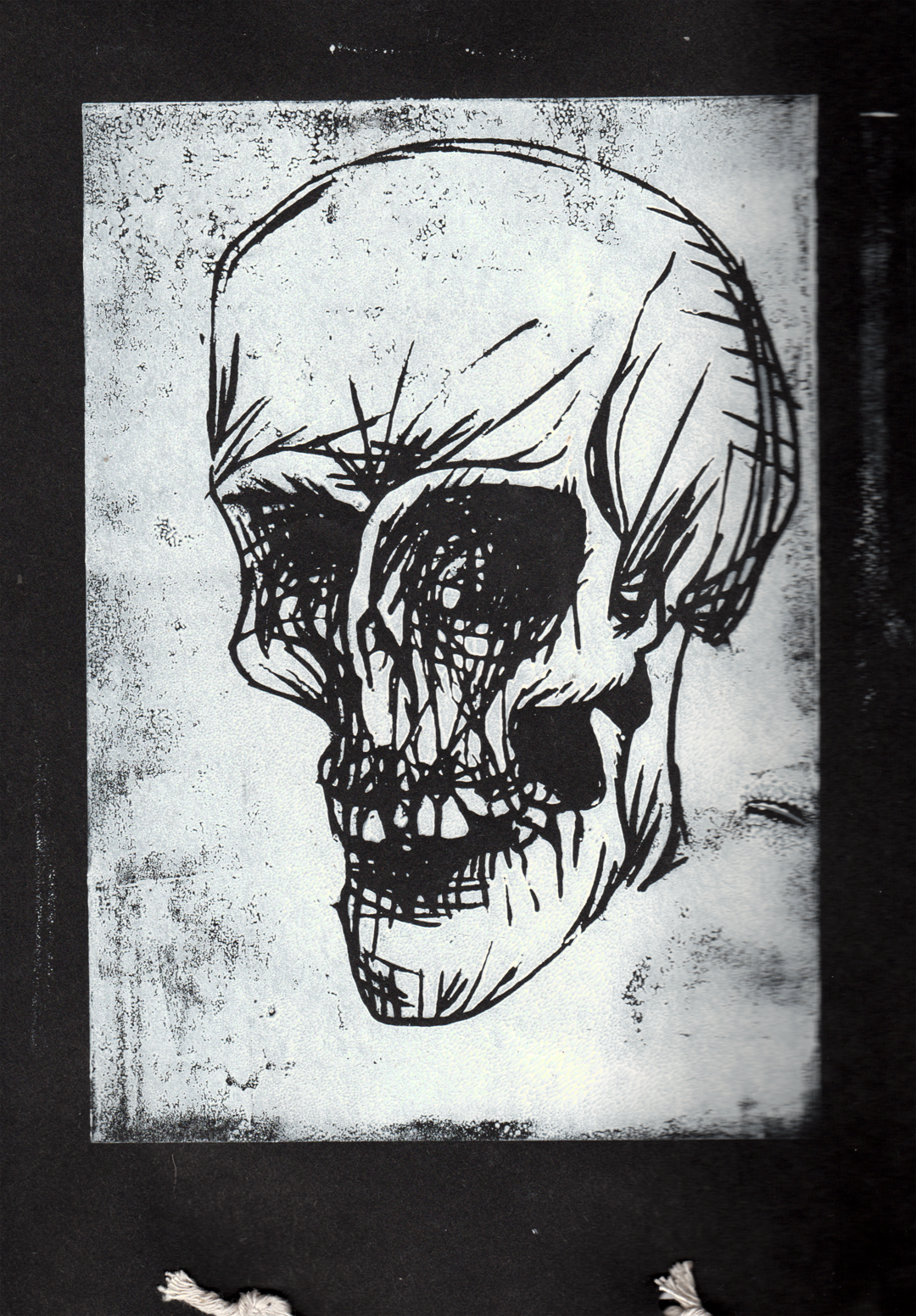 Skull Print 2
